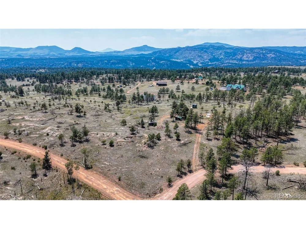 617 Chateau Vis Florissant, CO 80816