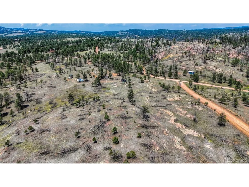617 Chateau Vis Florissant, CO 80816