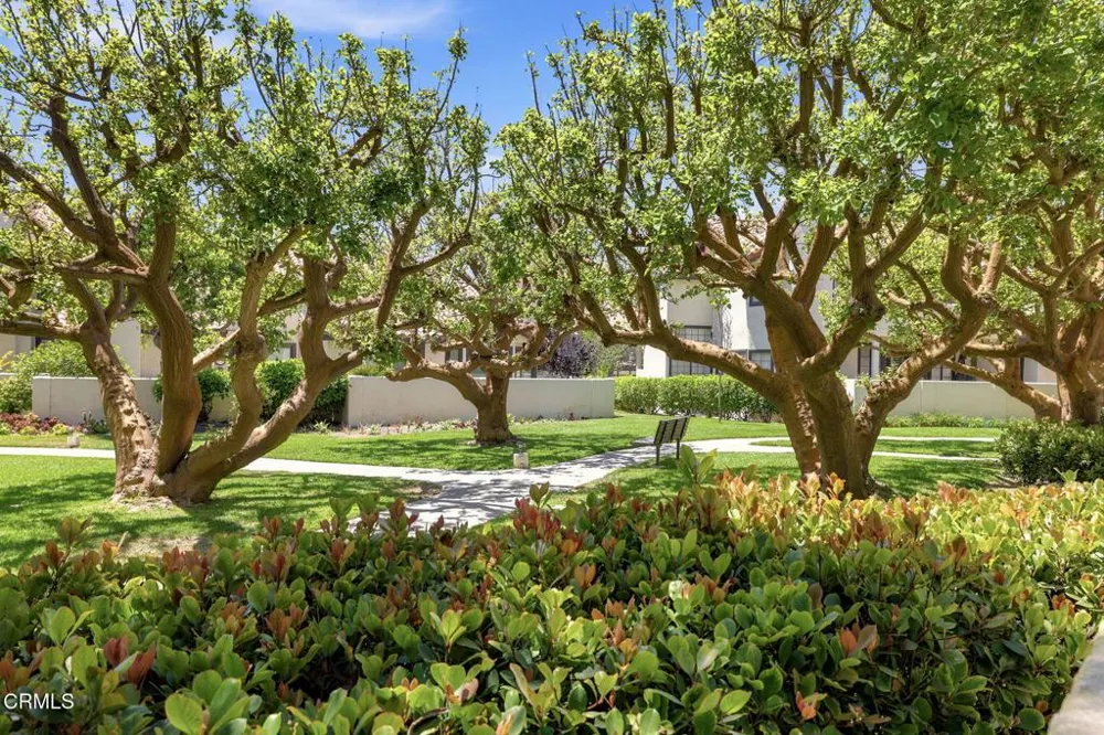 2253 Martinique Lane Oxnard, CA 93035