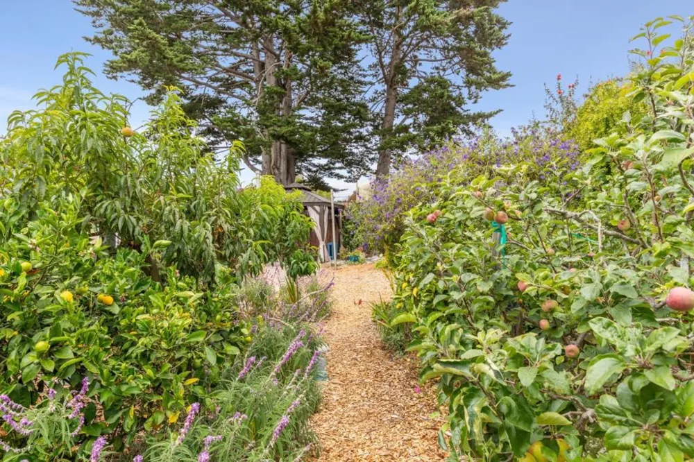 1976 Luzern Street Seaside, CA 93955