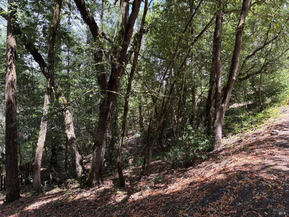 9868 Hillside Drive Forestville, CA 95436