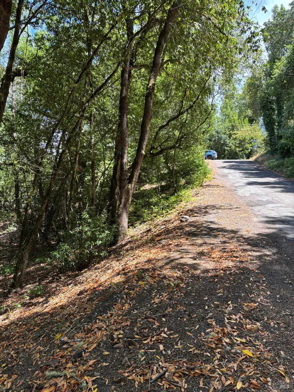 9868 Hillside Drive Forestville, CA 95436