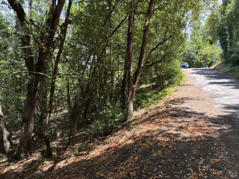 9868 Hillside Drive Forestville, CA 95436