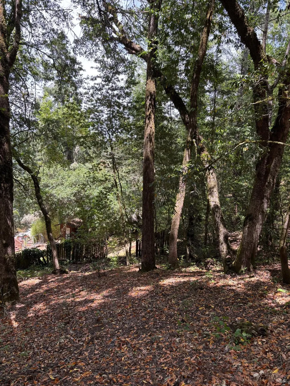 9868 Hillside Drive Forestville, CA 95436