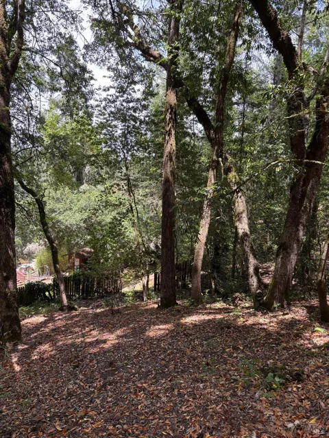 9868 Hillside Drive