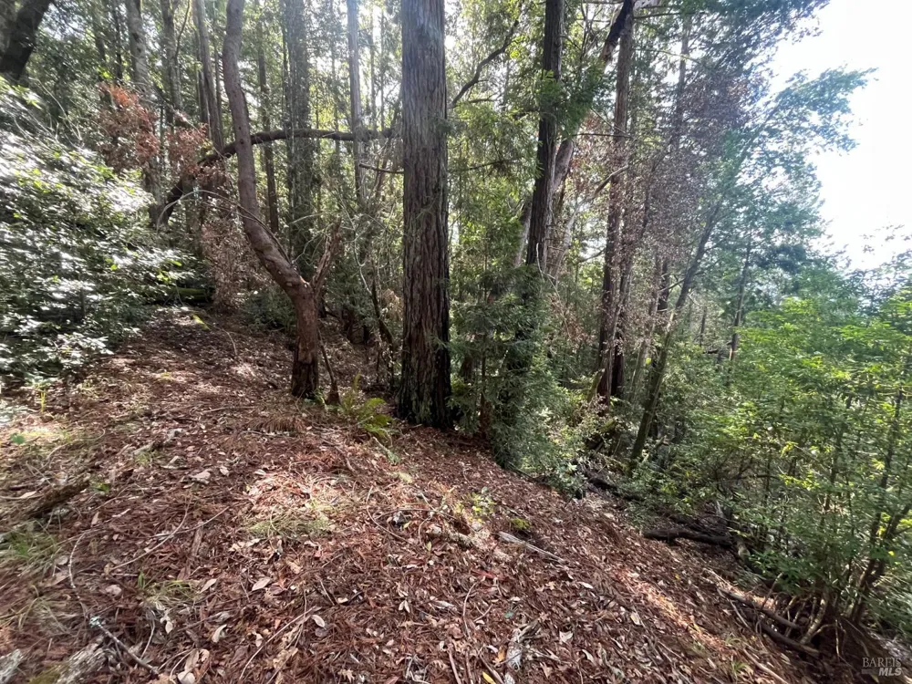 30055 Seaview Road Cazadero, CA 95421