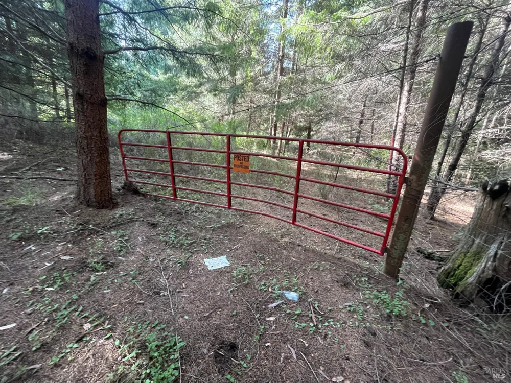 30055 Seaview Road Cazadero, CA 95421