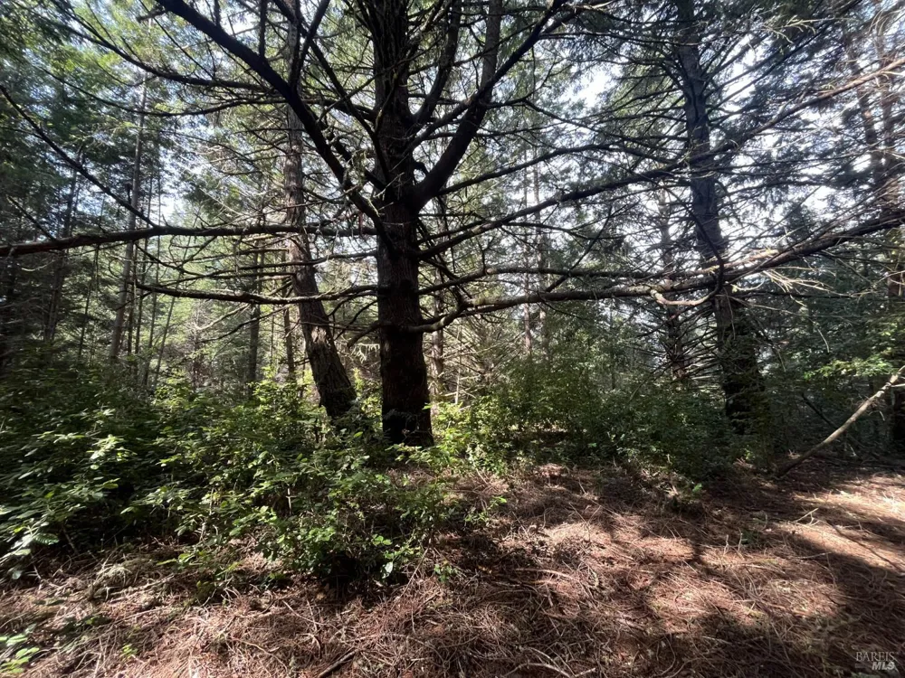 30055 Seaview Road Cazadero, CA 95421