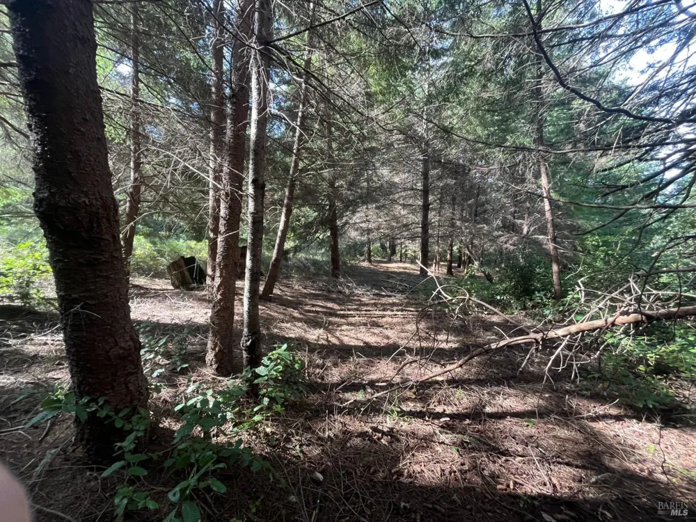 30055 Seaview Road Cazadero, CA 95421