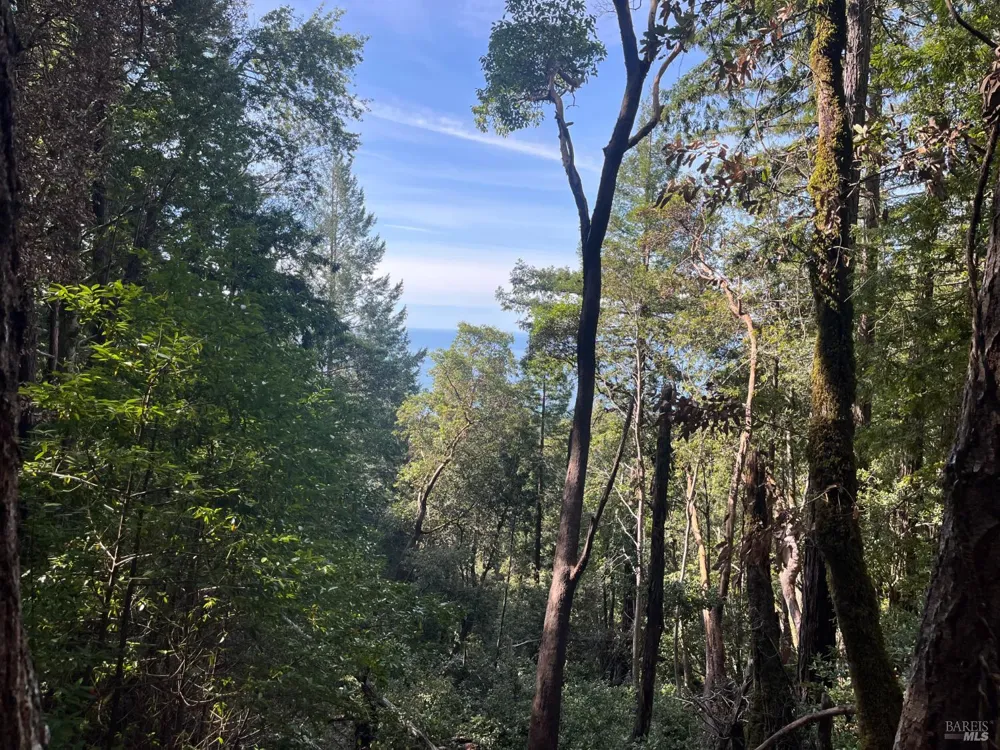30055 Seaview Road Cazadero, CA 95421