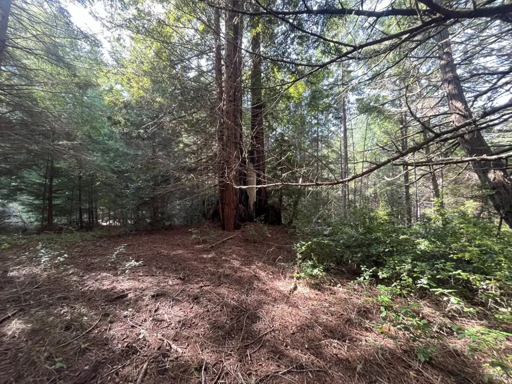 30055 Seaview Road Cazadero, CA 95421