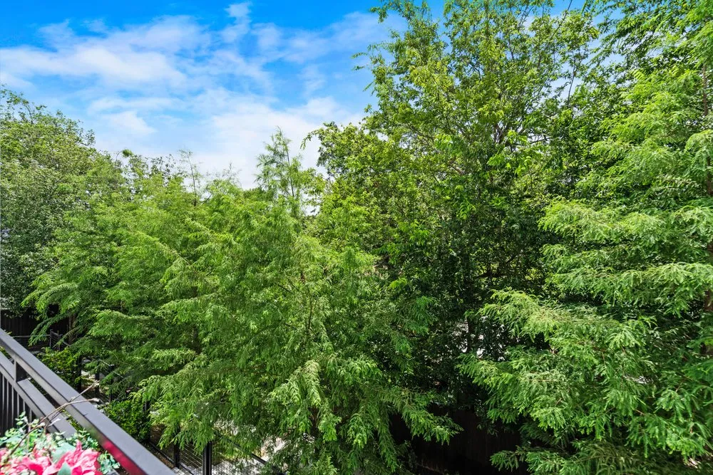 2505 Bluebonnet Avenue #12 Austin, TX 78704