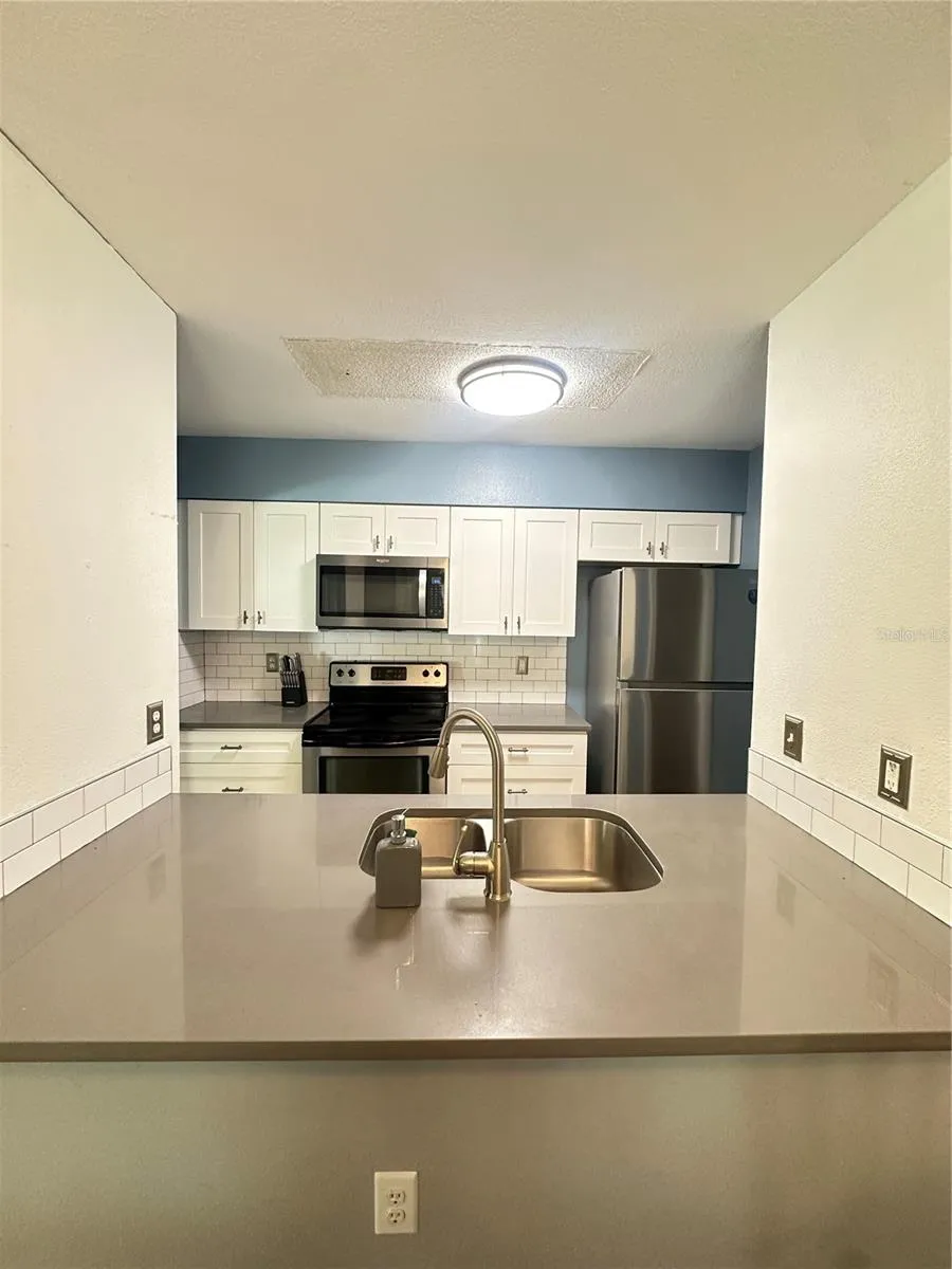 2235 FLUORSHIRE DR DRIVE Brandon, FL 33511