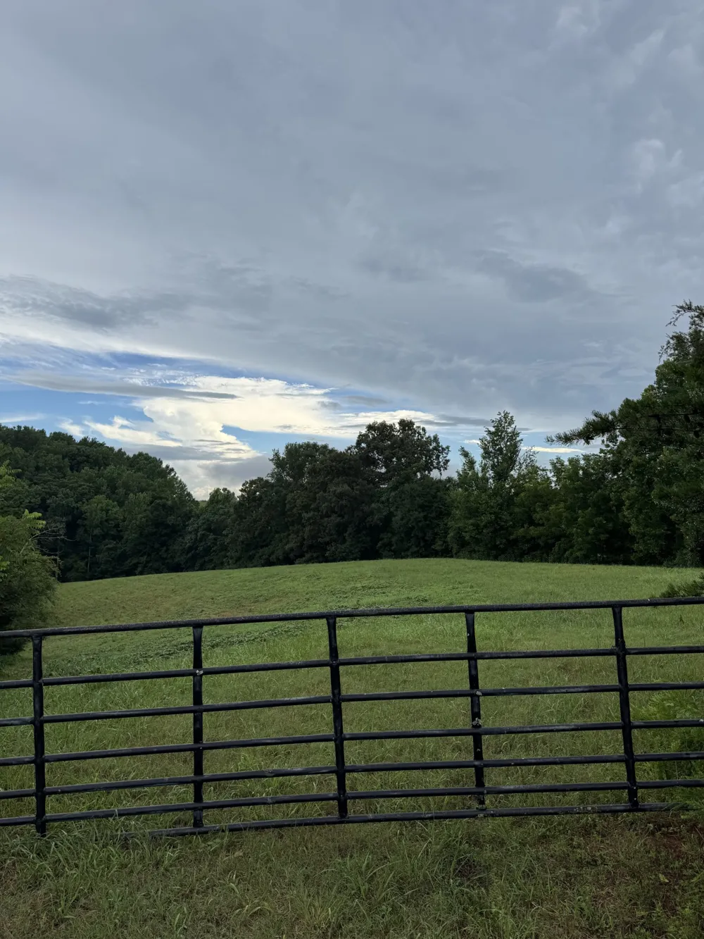 0 Potts Camp Rd Smithville, TN 37166