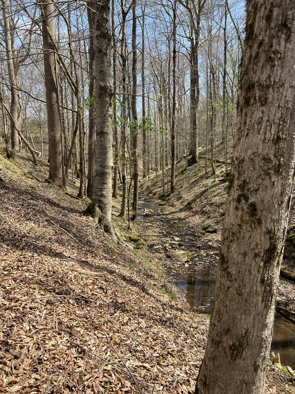 0 Potts Camp Rd Smithville, TN 37166