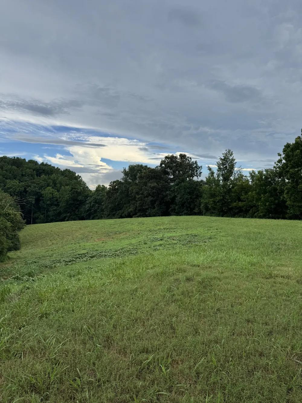 0 Potts Camp Rd Smithville, TN 37166