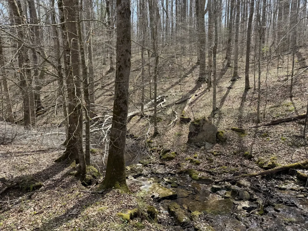 0 Potts Camp Rd Smithville, TN 37166