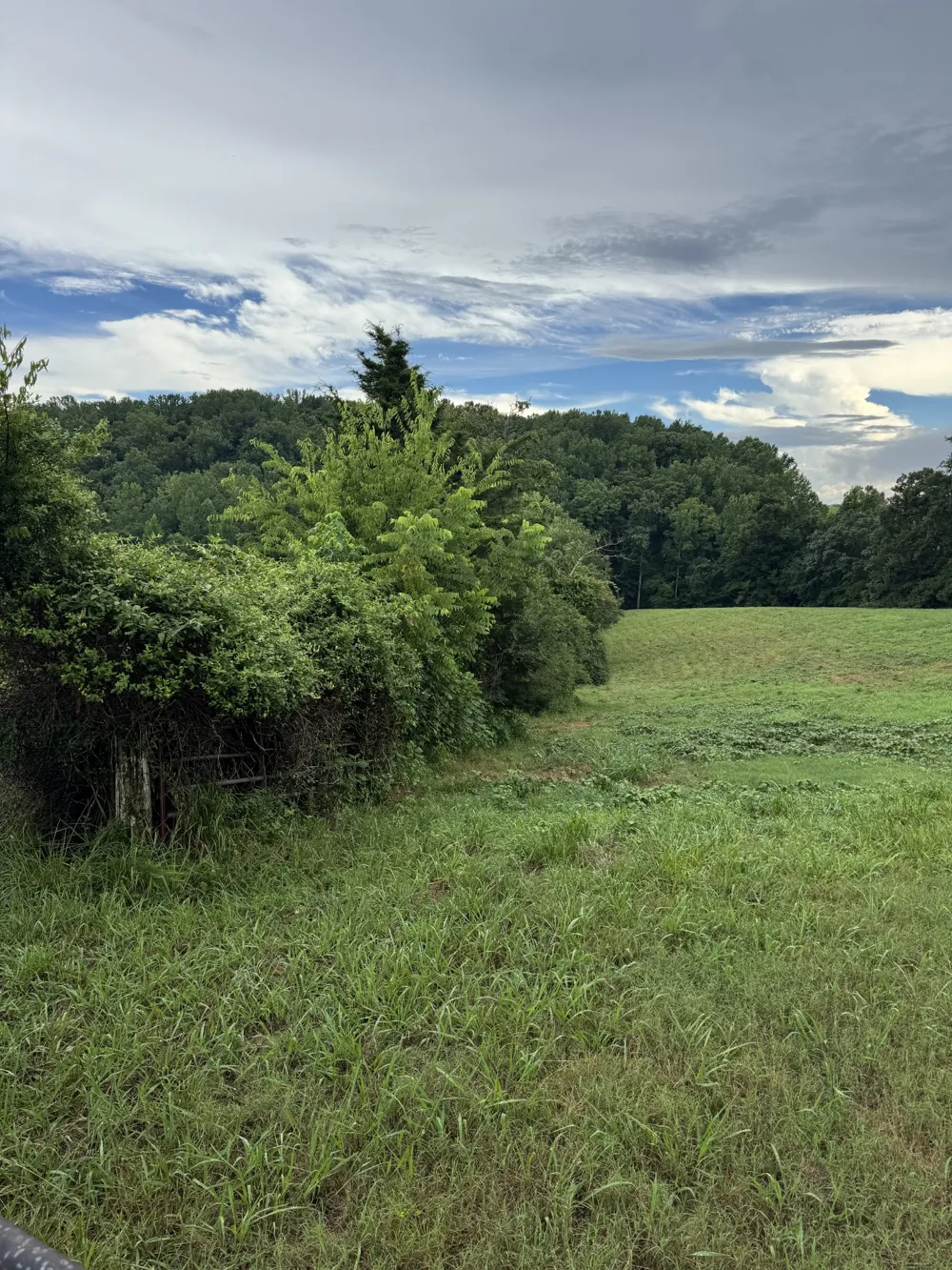 0 Potts Camp Rd Smithville, TN 37166