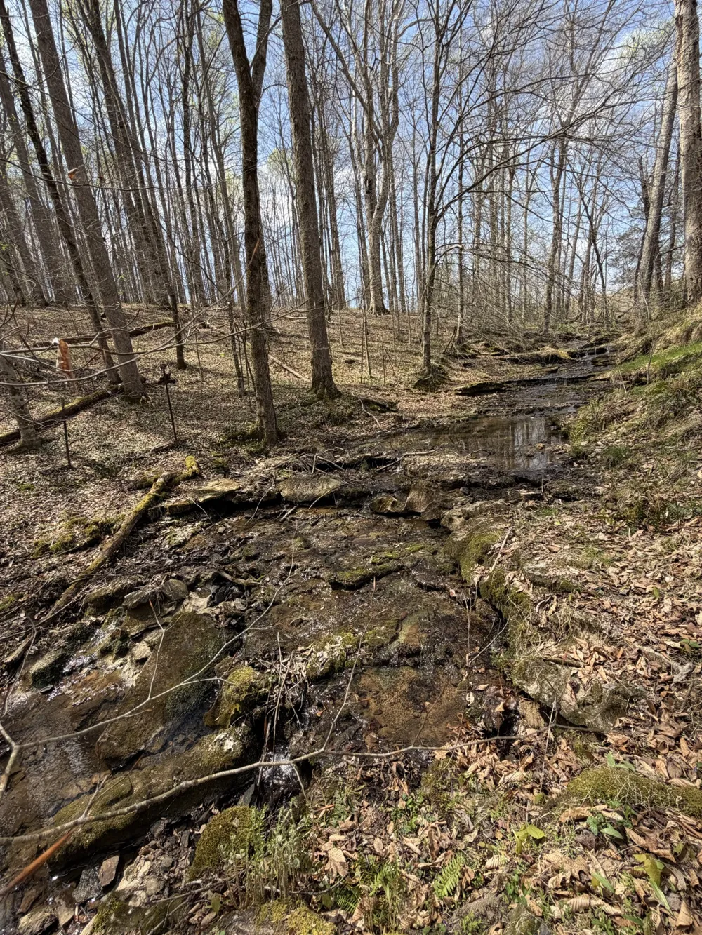 0 Potts Camp Rd Smithville, TN 37166