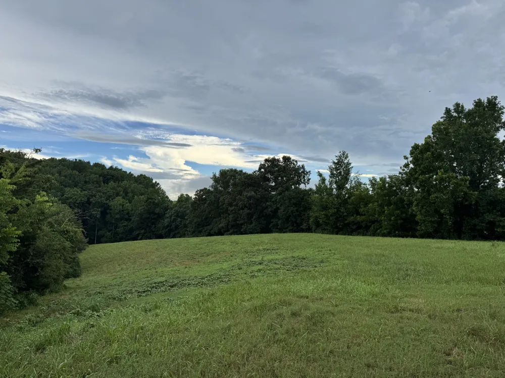 0 Potts Camp Rd Smithville, TN 37166