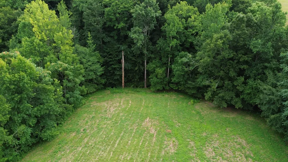 0 Potts Camp Rd Smithville, TN 37166