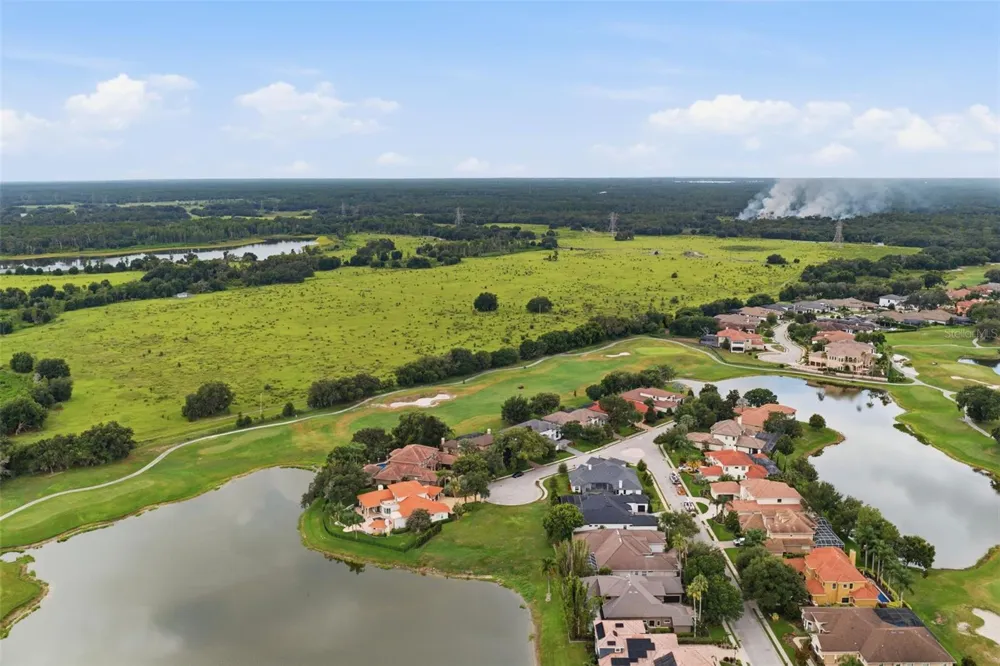 10341 ALTRARA WAY Trinity, FL 34655