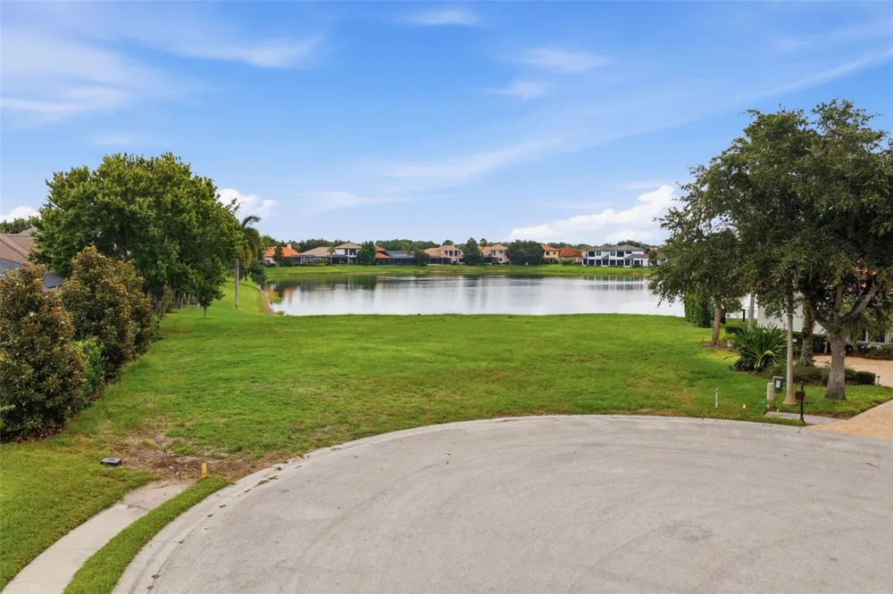 10341 ALTRARA WAY Trinity, FL 34655