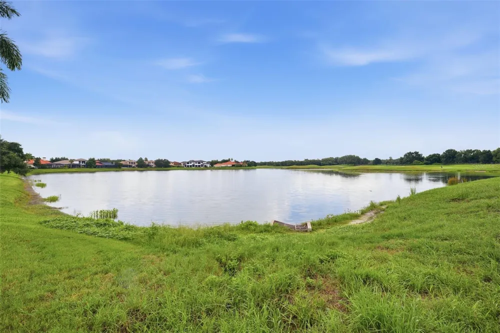 10341 ALTRARA WAY Trinity, FL 34655