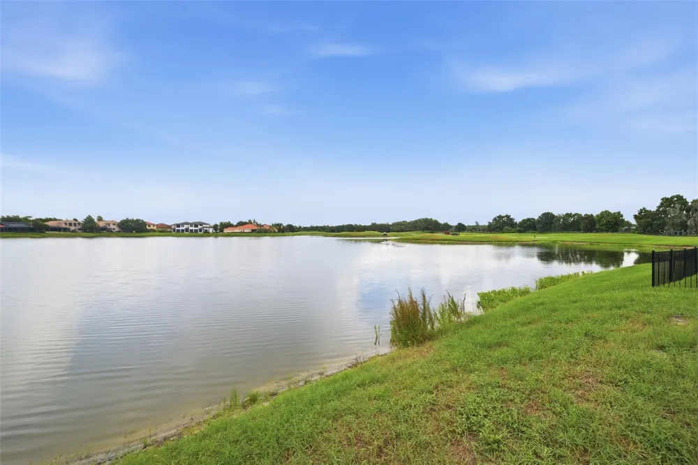 10341 ALTRARA WAY Trinity, FL 34655
