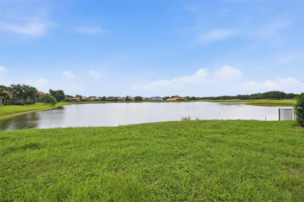 10341 ALTRARA WAY Trinity, FL 34655