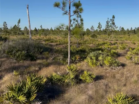 HOLOPAW GROVES ROAD