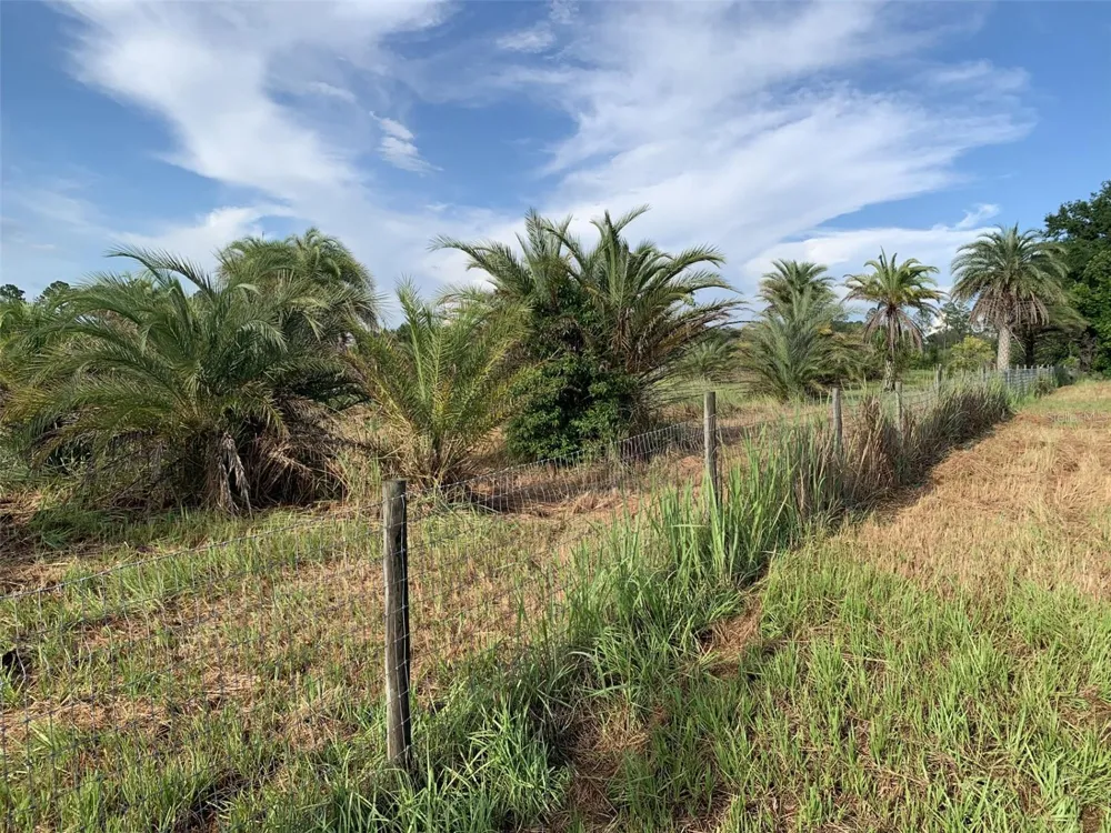 DAN BROWN HILL ROAD #Lot 1 Brooksville, FL 34602