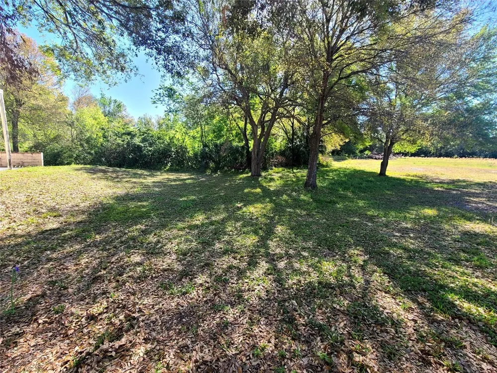 3541 BOULEVARD Tampa, FL 33603