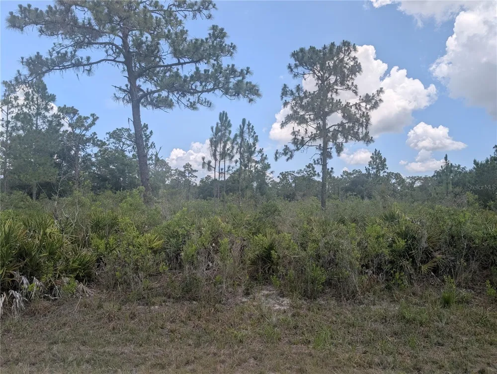 904 LAGUNA DRIVE Indian Lake Estates, FL 33855