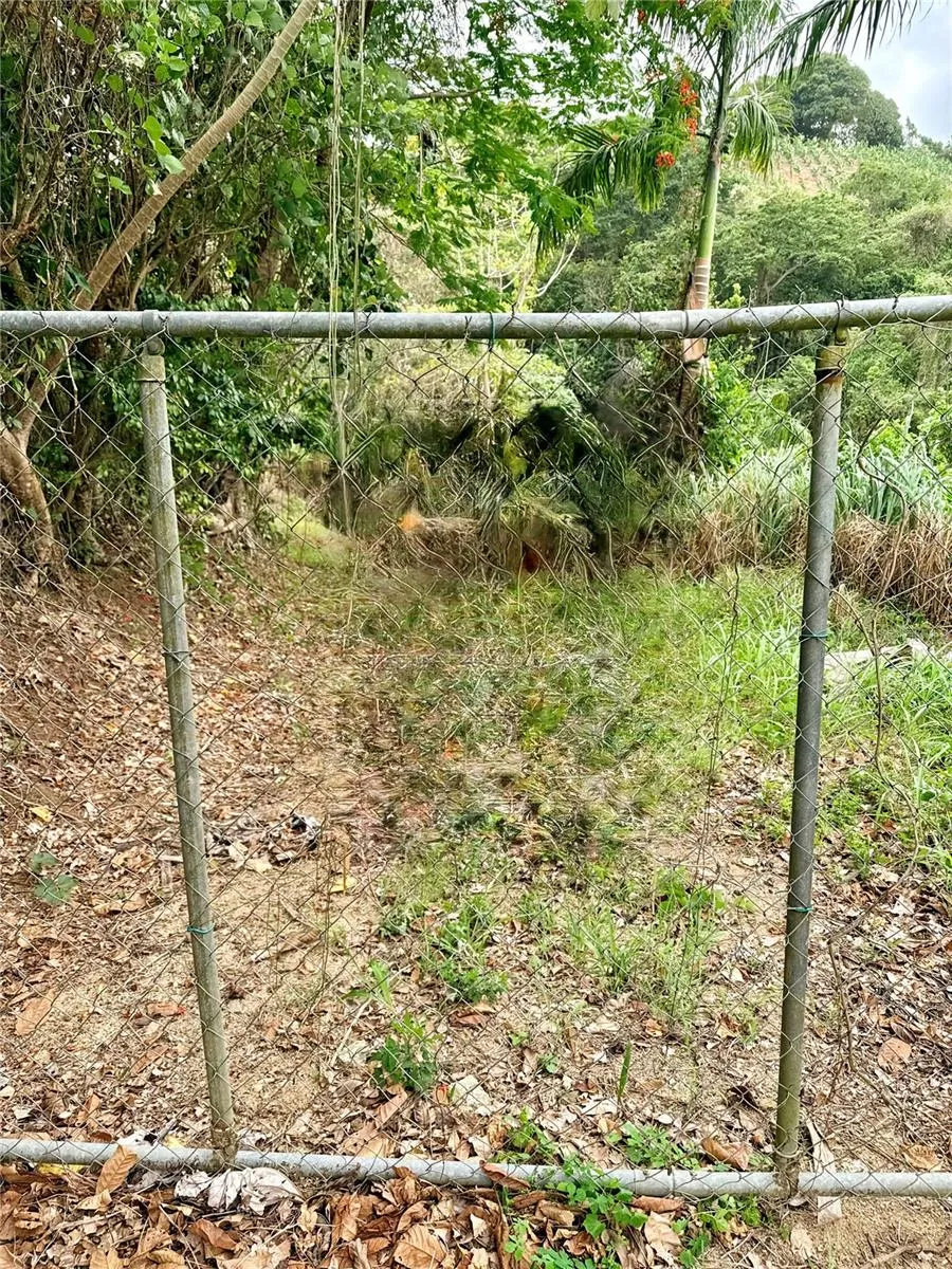 Km 0.9 ROUTE 759 Maunabo, PR 00707