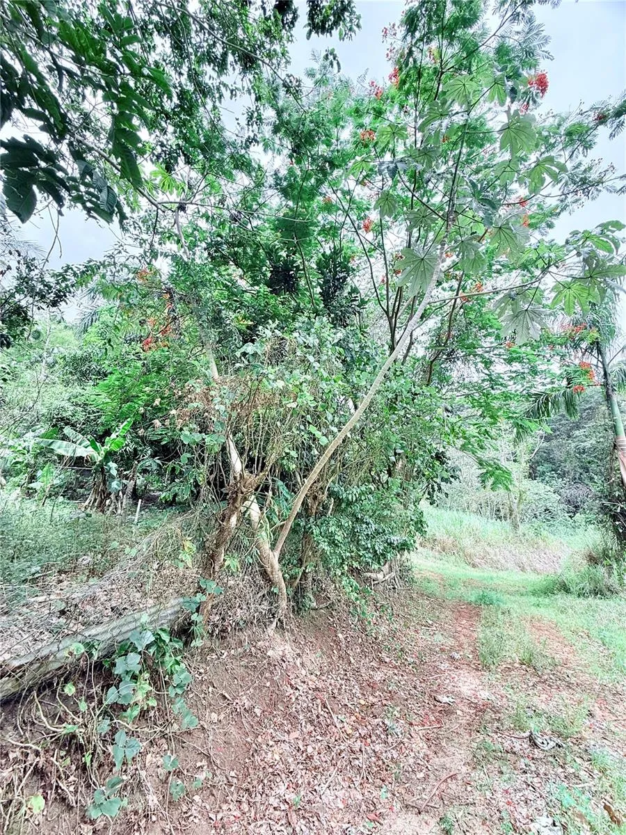Km 0.9 ROUTE 759 Maunabo, PR 00707