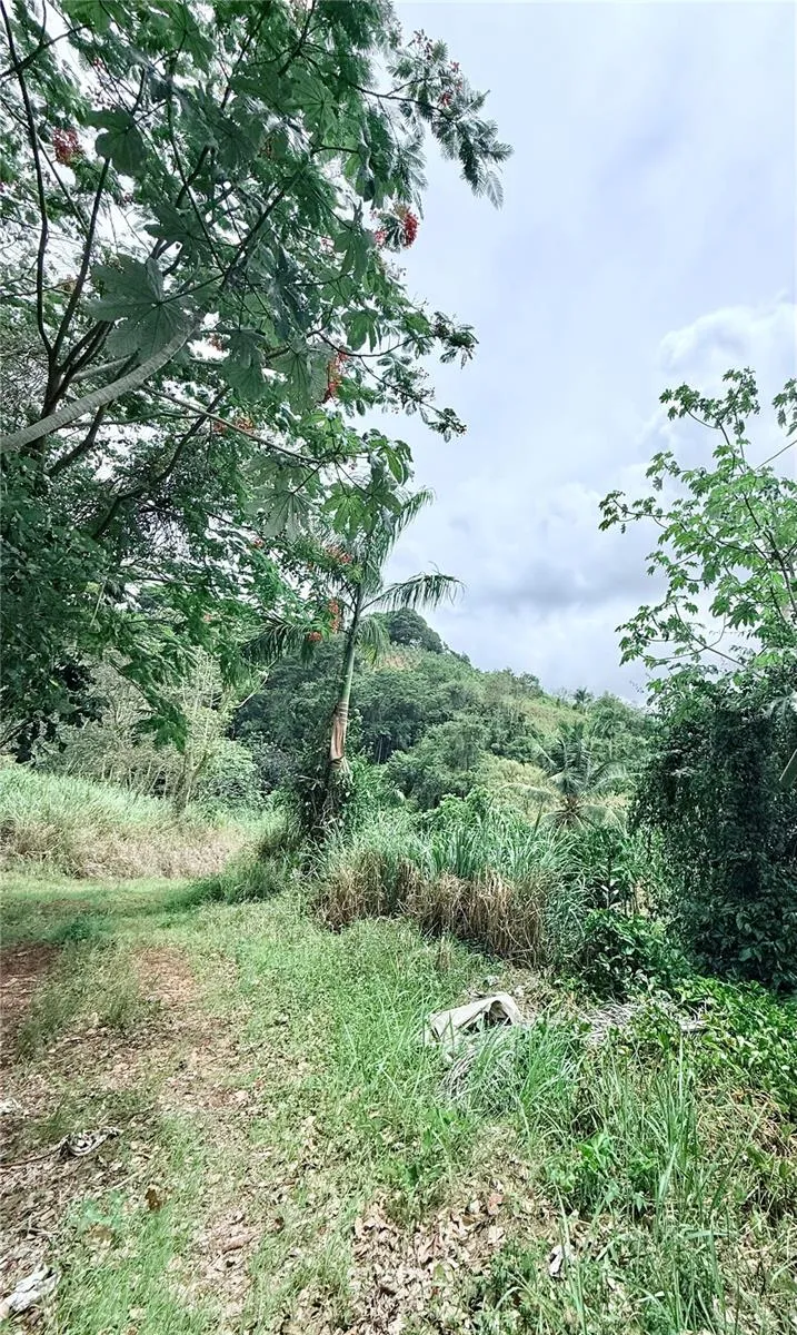 Km 0.9 ROUTE 759 Maunabo, PR 00707