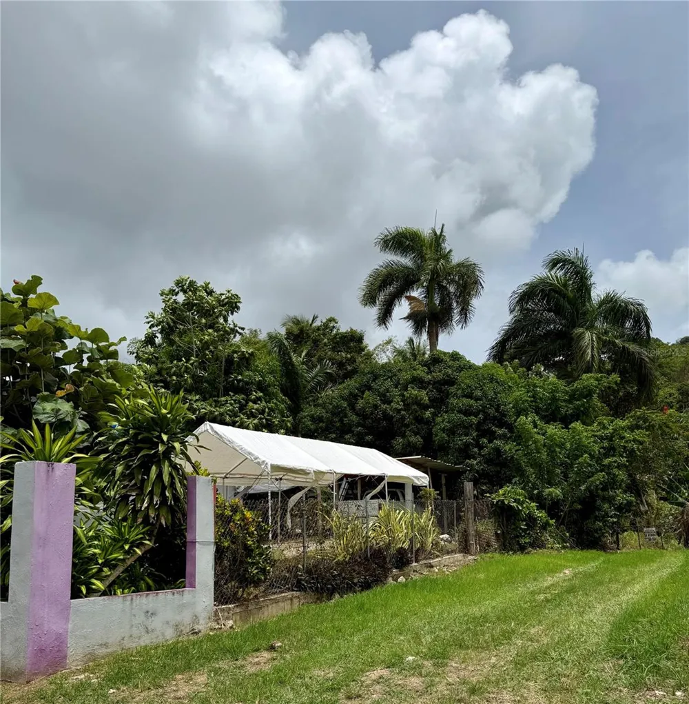 Km 0.9 ROUTE 759 Maunabo, PR 00707