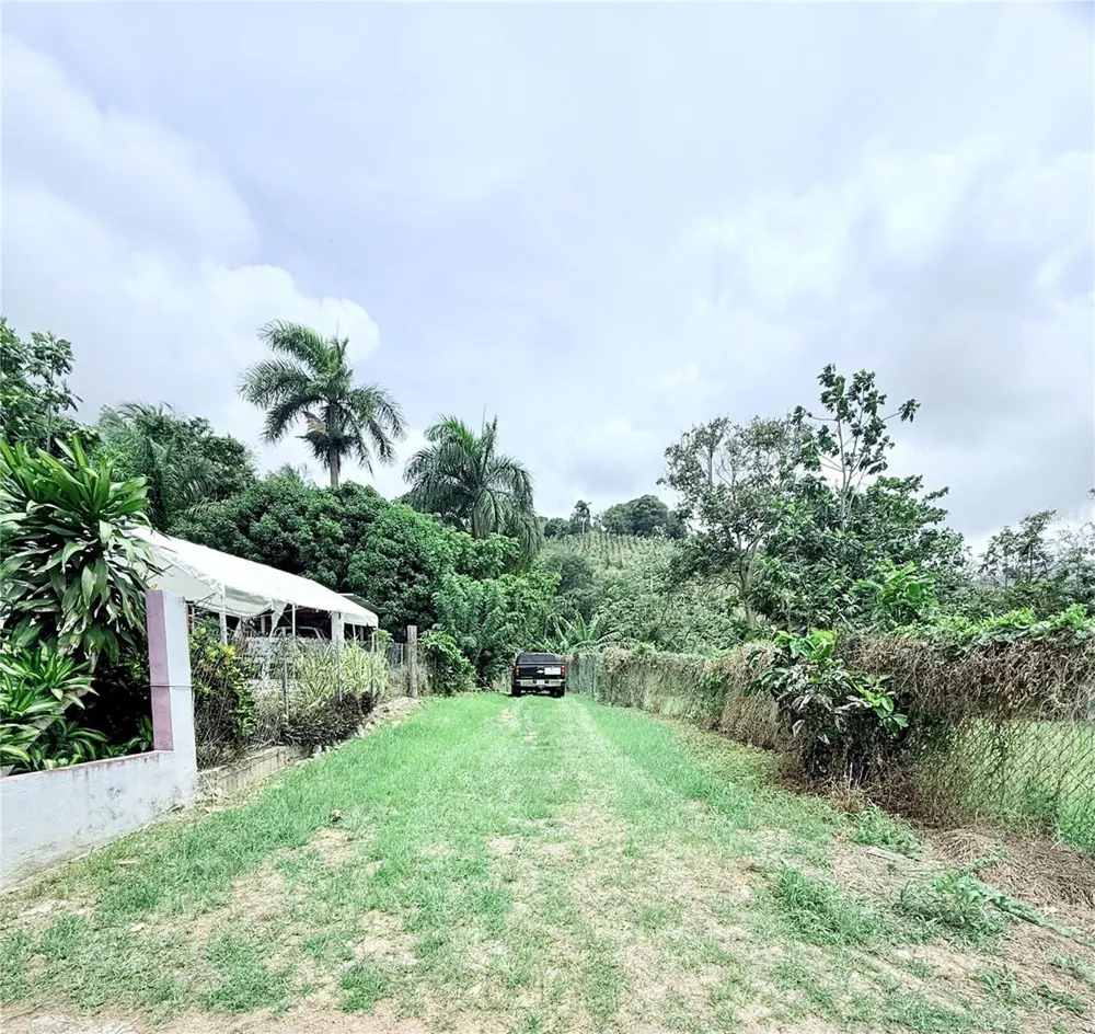 Km 0.9 ROUTE 759 Maunabo, PR 00707