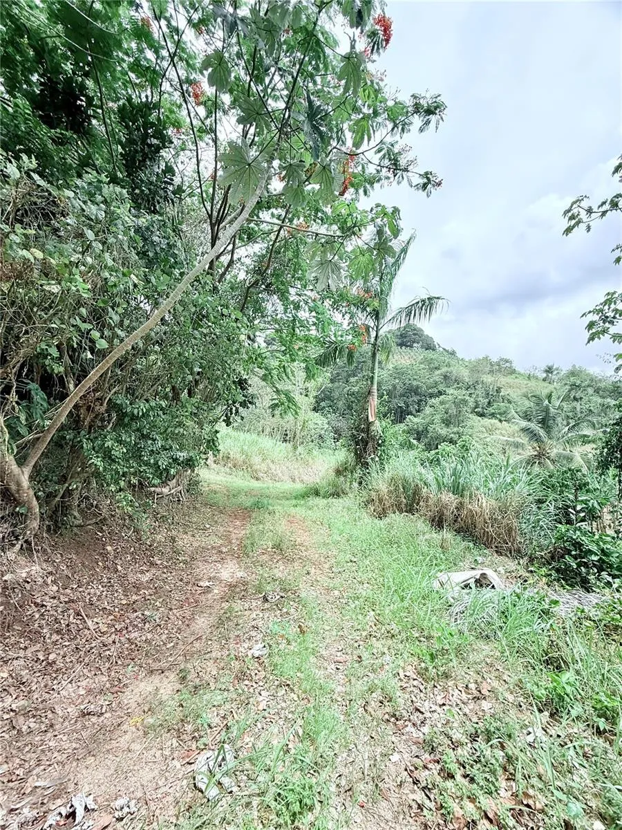 Km 0.9 ROUTE 759 Maunabo, PR 00707