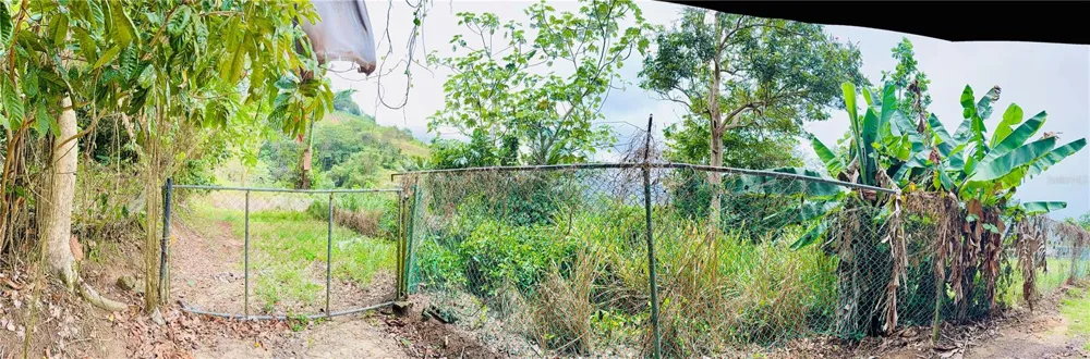 Km 0.9 ROUTE 759 Maunabo, PR 00707