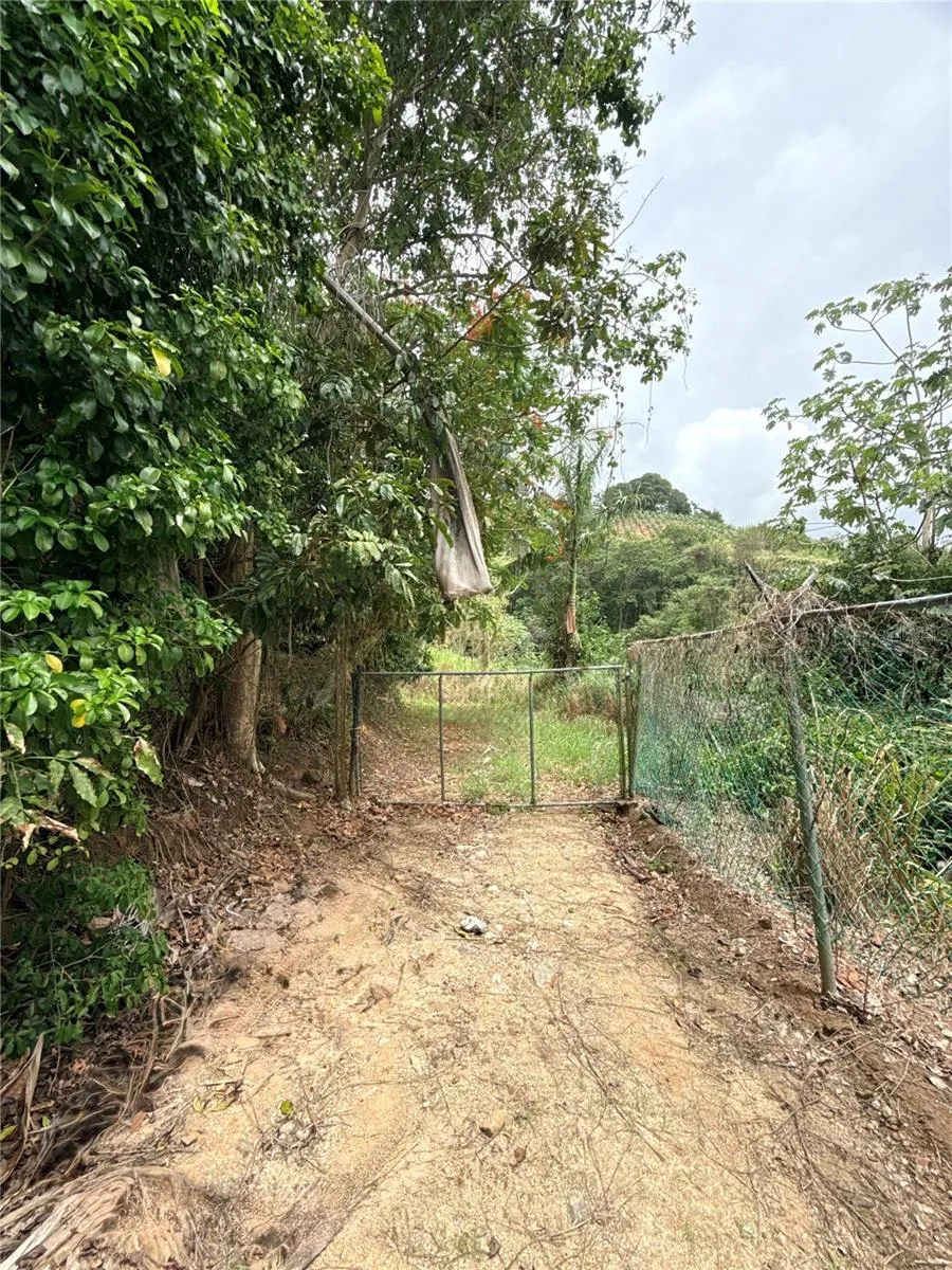Km 0.9 ROUTE 759 Maunabo, PR 00707