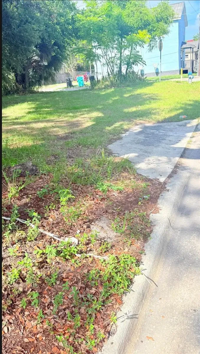 202 MCQUIGG AVENUE Orlando, FL 32805