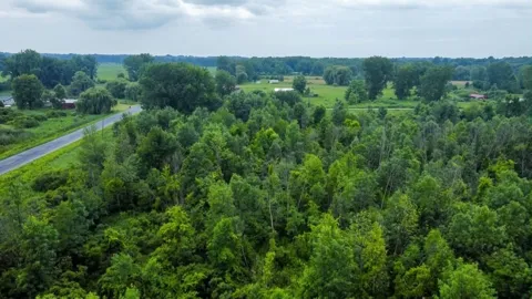 60196 County Road 376
