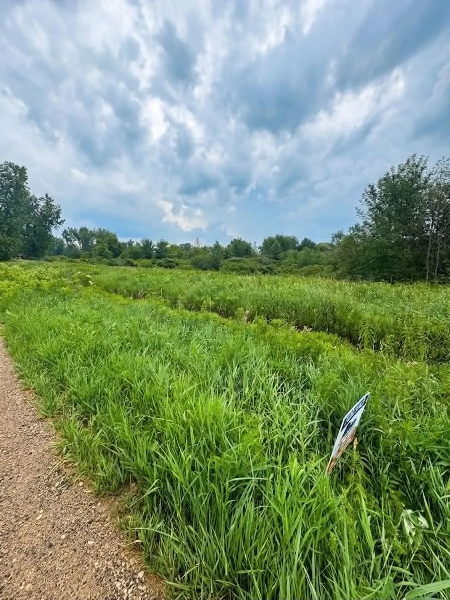 60196 County Road 376 Bangor, MI 49013