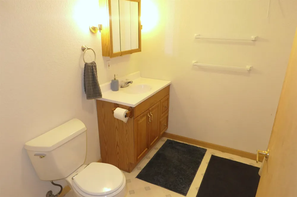 4769 Feather Trail Home Township, MI 48829