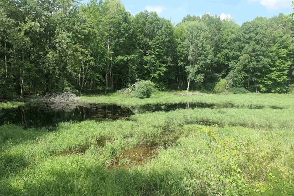 4769 Feather Trail Home Township, MI 48829