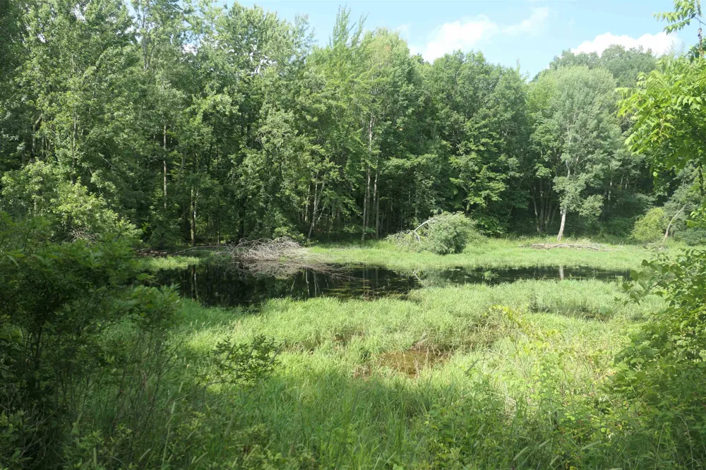 4769 Feather Trail Home Township, MI 48829