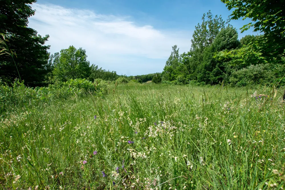 9742 E Peterson Road Leelanau Township, MI 49670