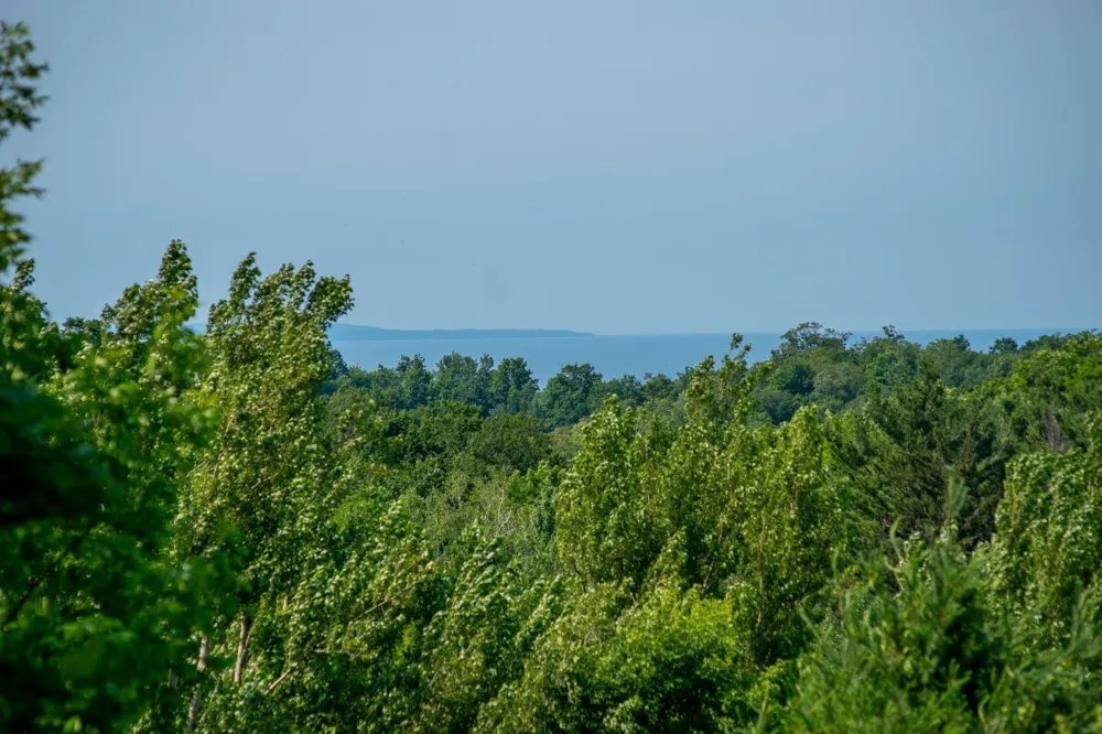9742 E Peterson Road Leelanau Township, MI 49670